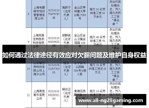 如何通过法律途径有效应对欠薪问题及维护自身权益