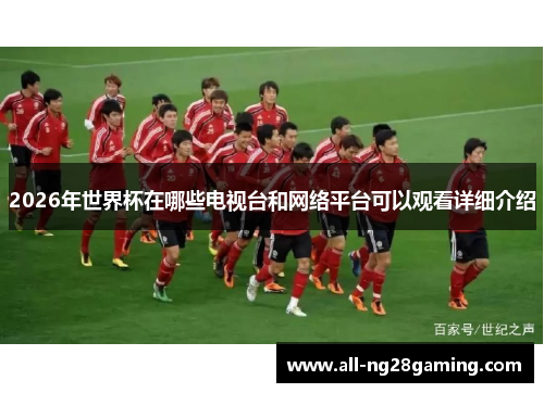 2026年世界杯在哪些电视台和网络平台可以观看详细介绍