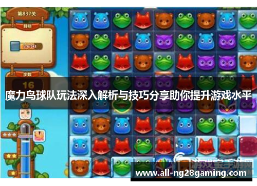 魔力鸟球队玩法深入解析与技巧分享助你提升游戏水平