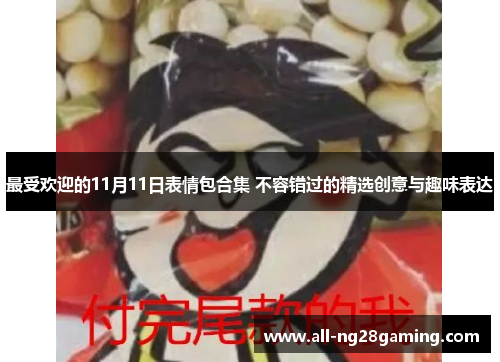 最受欢迎的11月11日表情包合集 不容错过的精选创意与趣味表达